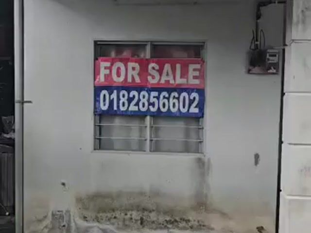 Video Image 1