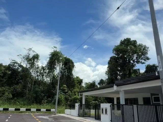 Video Image 1