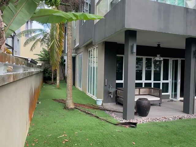 Video Image 1