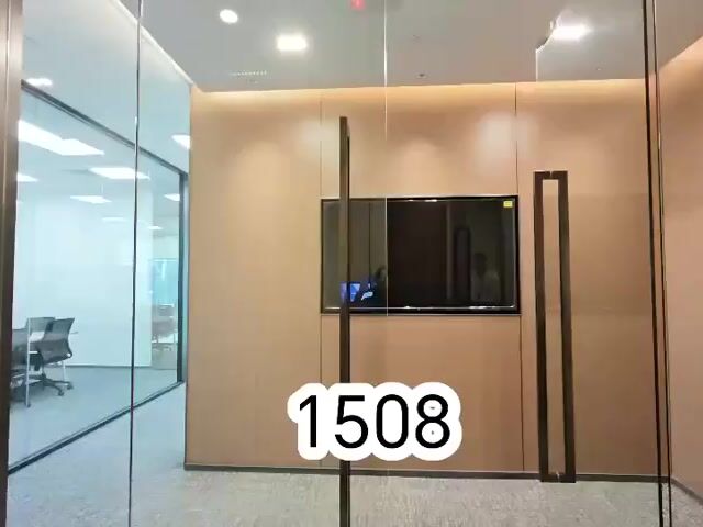 Video Image 1