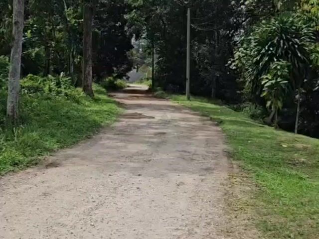 Video Image 1