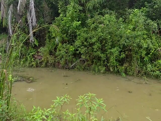 Video Image 1