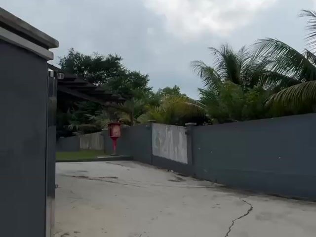 Video Image 1