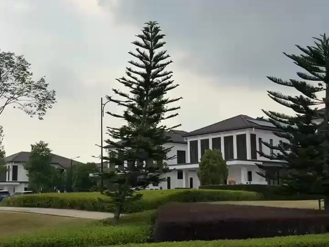 Video Image 1