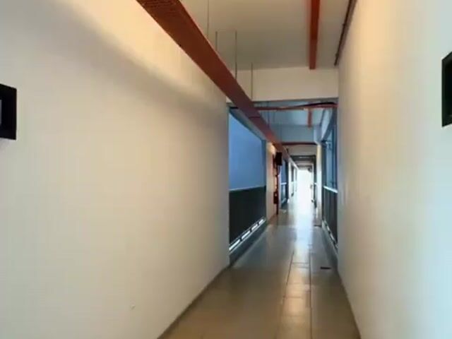 Video Image 1
