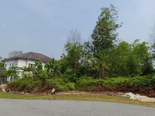 Video Image 1