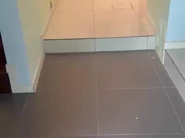 Video Image 1