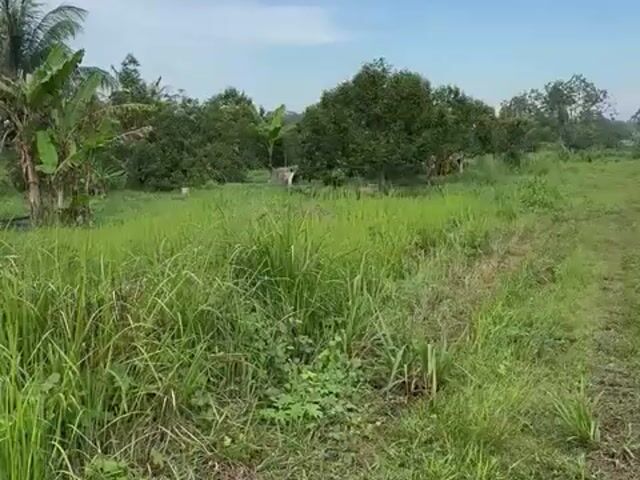 Video Image 1