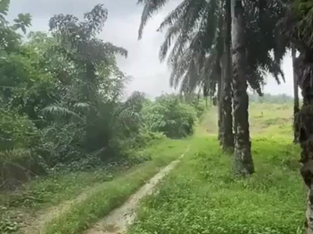 Video Image 1