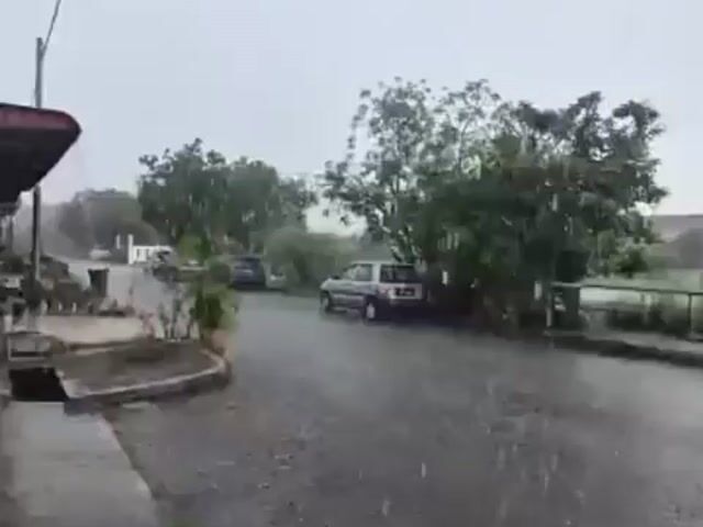 Video Image 1