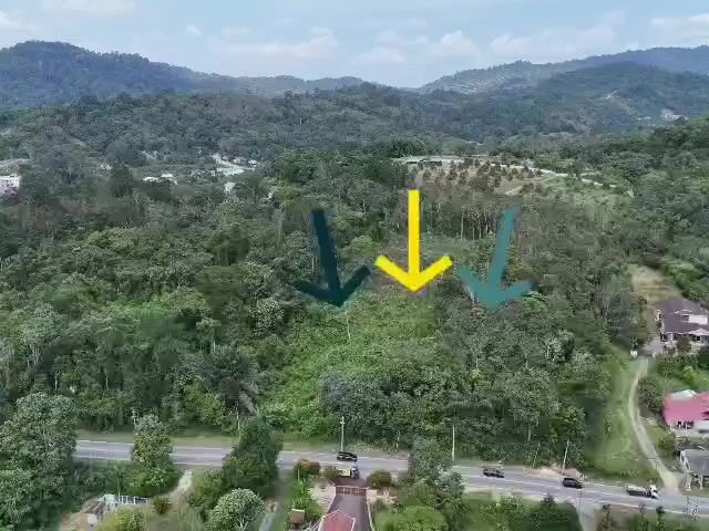 Video Image 1