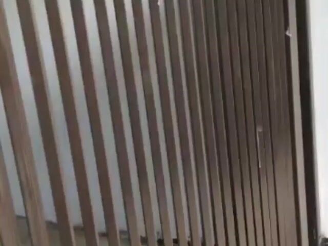 Video Image 1