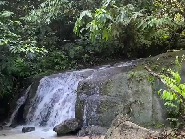 Video Image 1