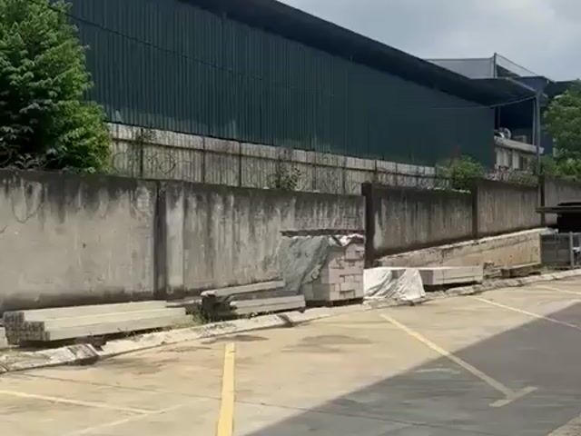 Video Image 1