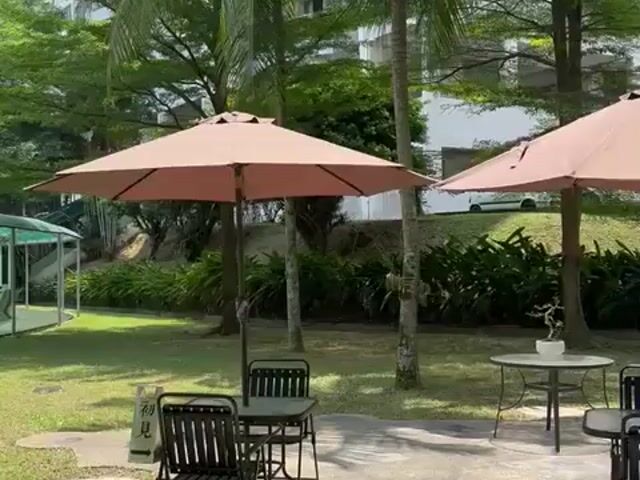 Video Image 1