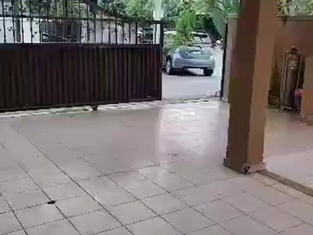Video Image 1