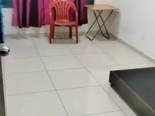 Video Image 1