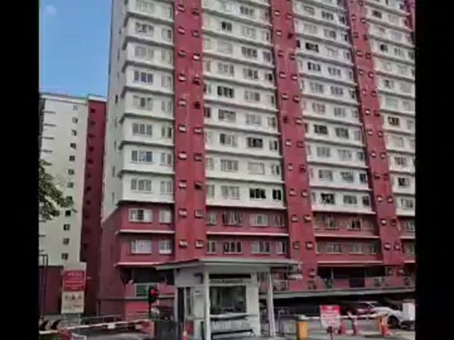 Video Image 1