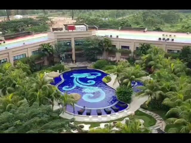 Video Image 1