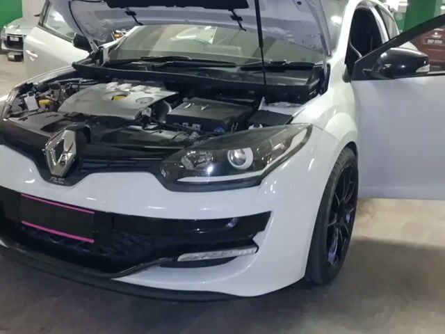 2015 Renault MEGANE 2.0 RS 265 CUP (M) - 1