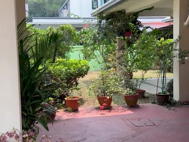 Video Image 1