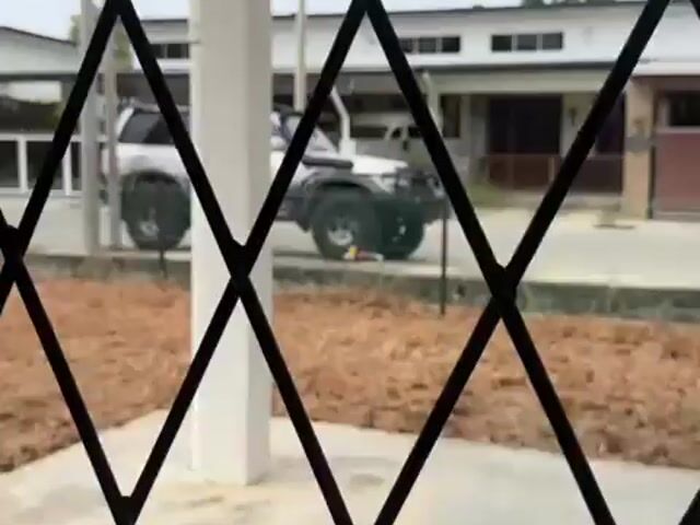 Video Image 1
