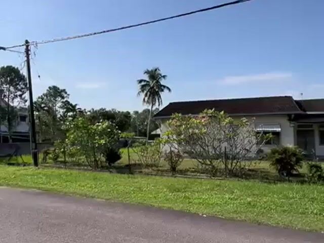 Video Image 1