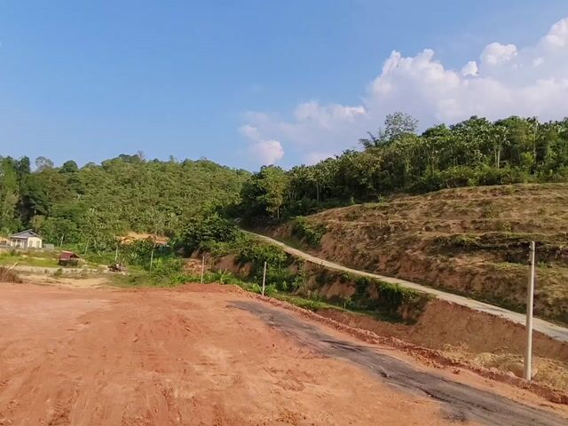 Video Image 1