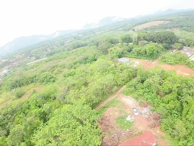 Video Image 1