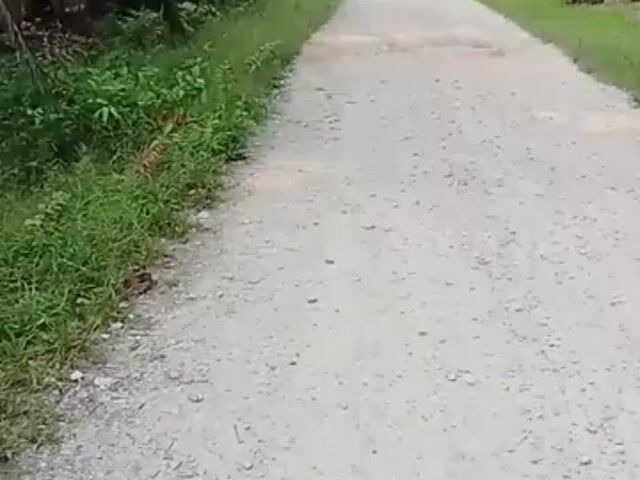 Video Image 1