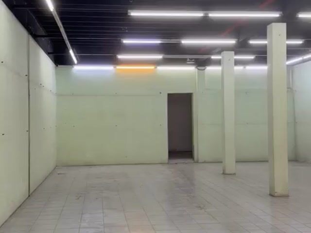 Video Image 1