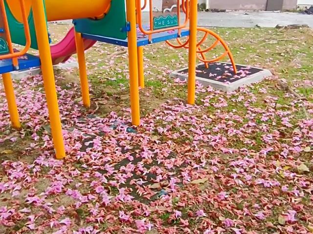 Video Image 1