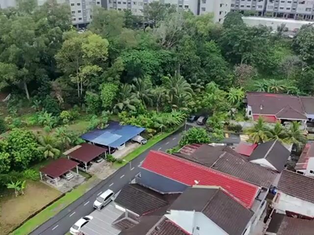Video Image 1