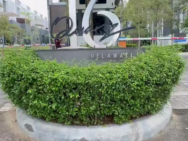 Video Image 1