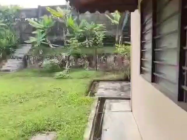 Video Image 1