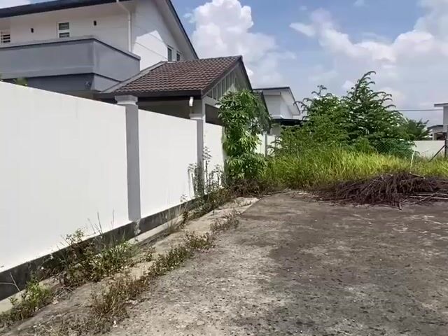 Video Image 1