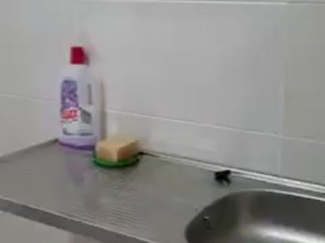 Video Image 1
