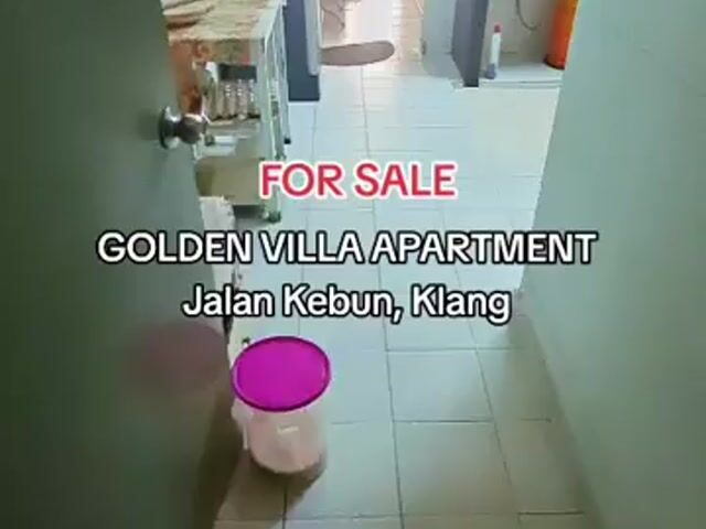 Video Image 1