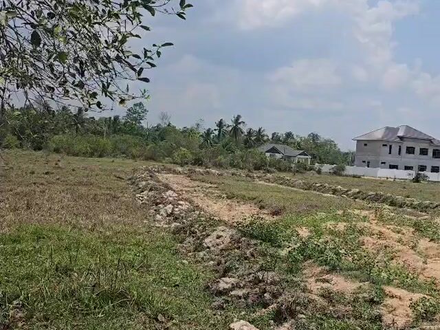 Video Image 1