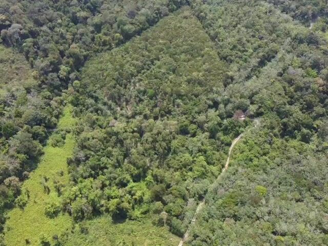 Video Image 1