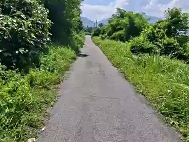 Video Image 1