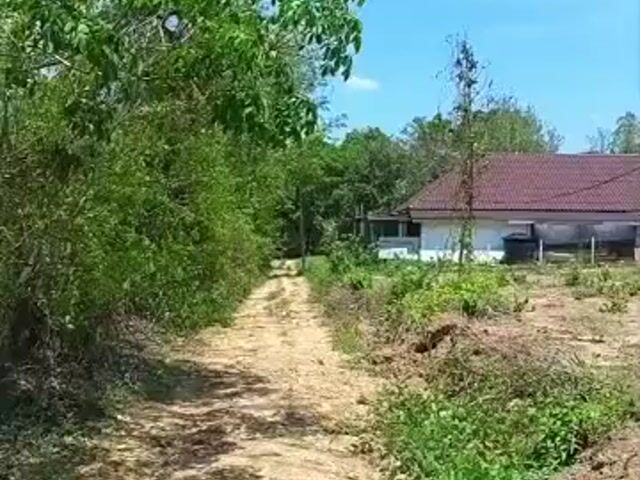Video Image 1