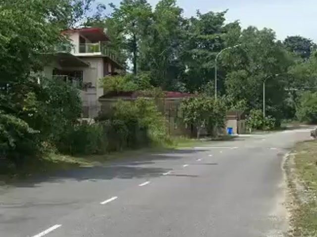 Video Image 1