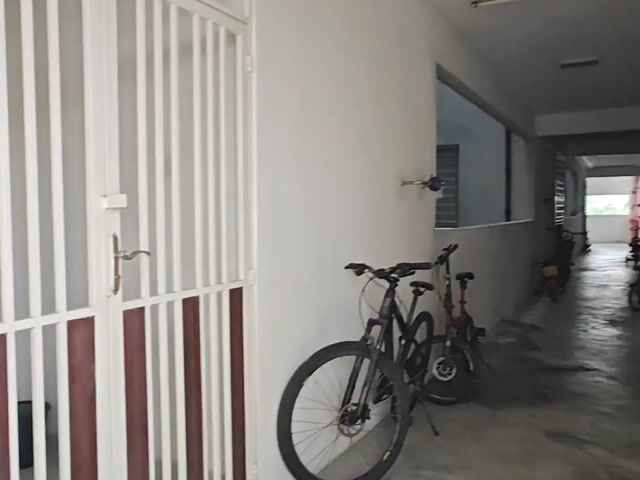 Video Image 1