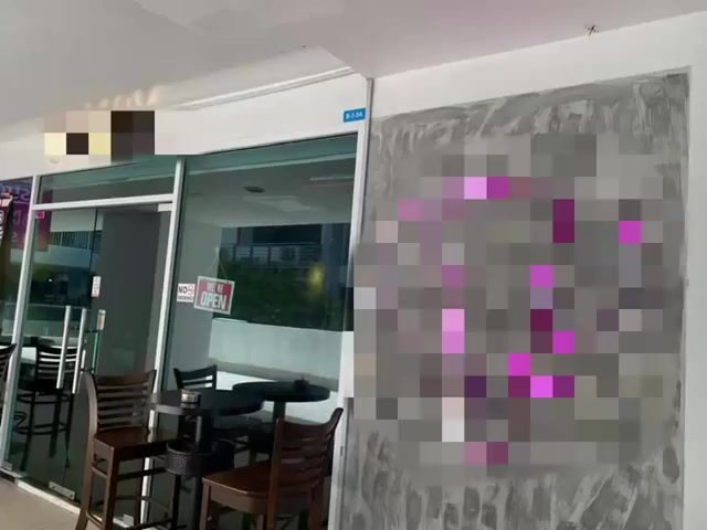 Video Image 1