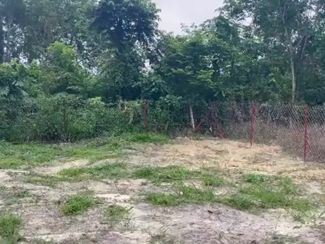 Video Image 1