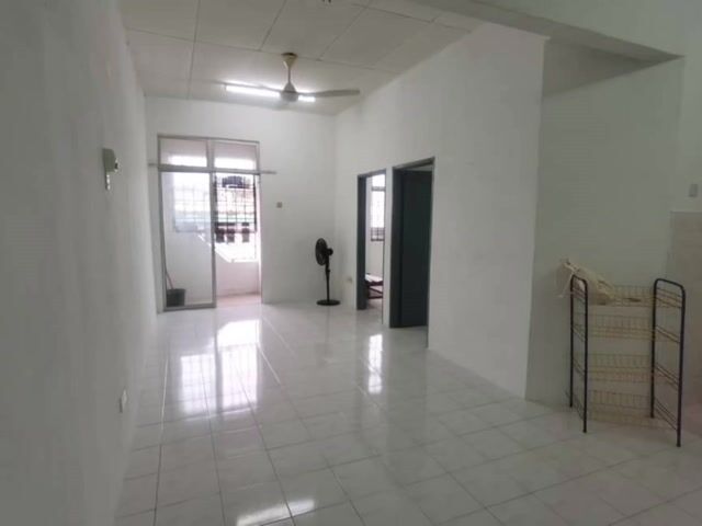 Video Image 1
