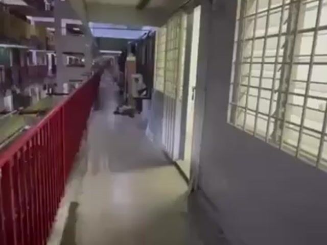 Video Image 1