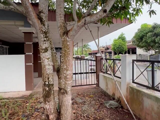 Video Image 1