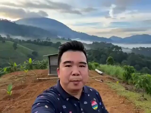 Video Image 1